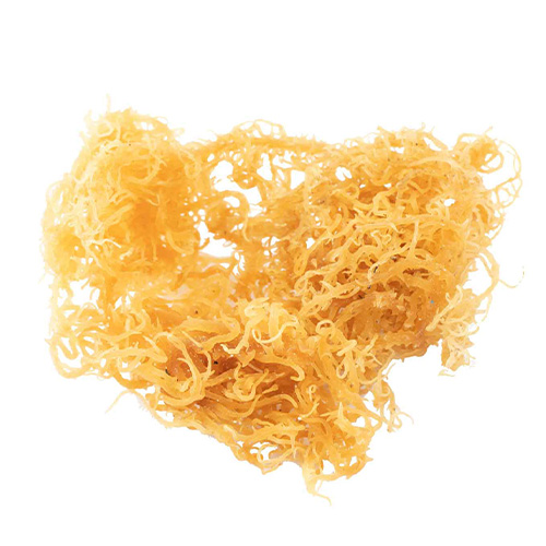 Raw Sea Moss 80g Mineral-Rich Superfood